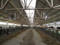 Вентиляторы New farm на ферме в Башкортостане