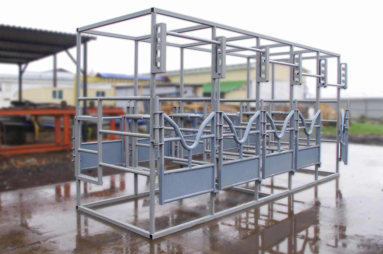 станок для искусственного осеменения New farm